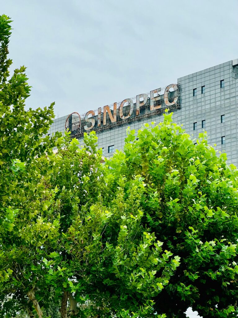 Current image: Exterior view of the Sinopec building behind vibrant green trees in Tian Jin Shi, China.
