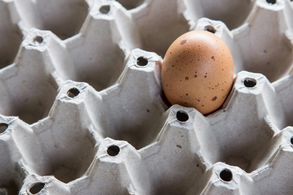 Huhtamaki's $18 million deal aims to enhance footprint in fibre-based egg packaging solutions across North America